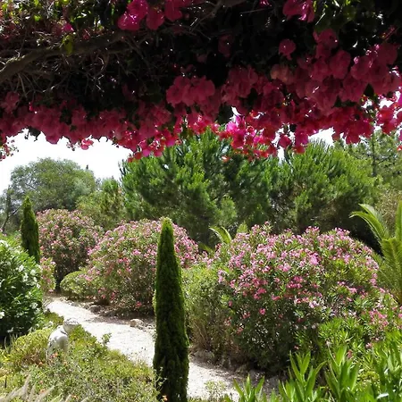Gorgeous Villa, Ideally Located, With Pool, Ocean Views, Airco, Great For Families וילה