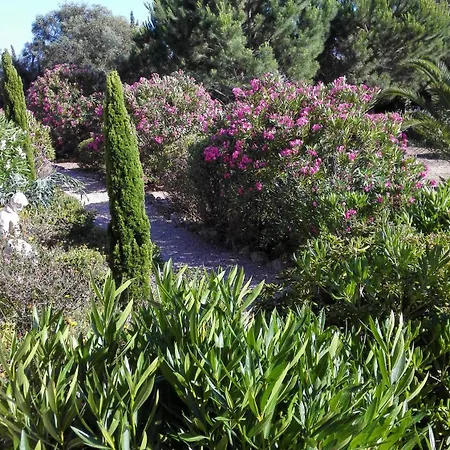 Villa Gorgeous Villa, Ideally Located, With Pool, Ocean Views, Airco, Great For Families